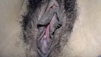 Hairy porn tubes